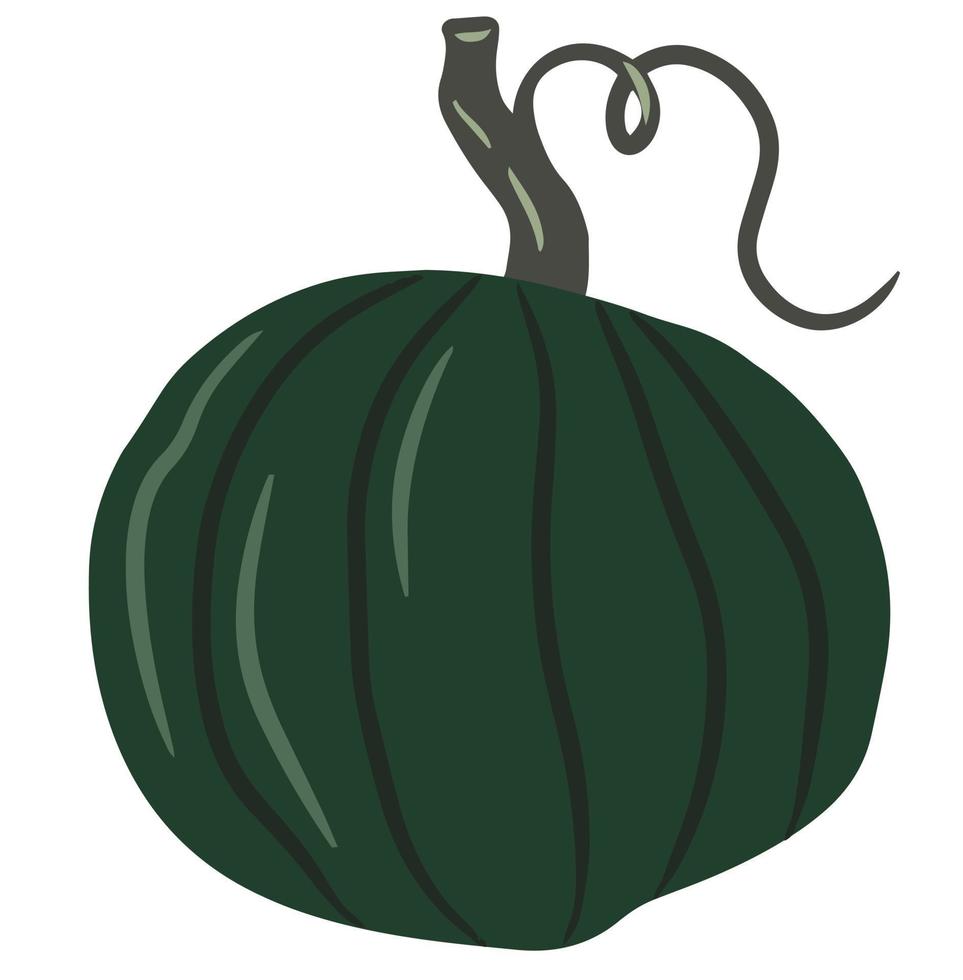 linda calabaza de color, calabaza inusual, ilustración única sobre un fondo blanco aislado, calabaza de otoño, verdura de otoño. ilustración de dibujos animados, diseño moderno. calabaza de halloween vector, imprimir 5523093 Vector linda calabaza de color, calabaza inusual, ilustración única sobre un fondo blanco aislado, calabaza de otoño, verdura de otoño. ilustración de dibujos animados, diseño moderno. calabaza de halloween vector, imprimir 5523093 Vector