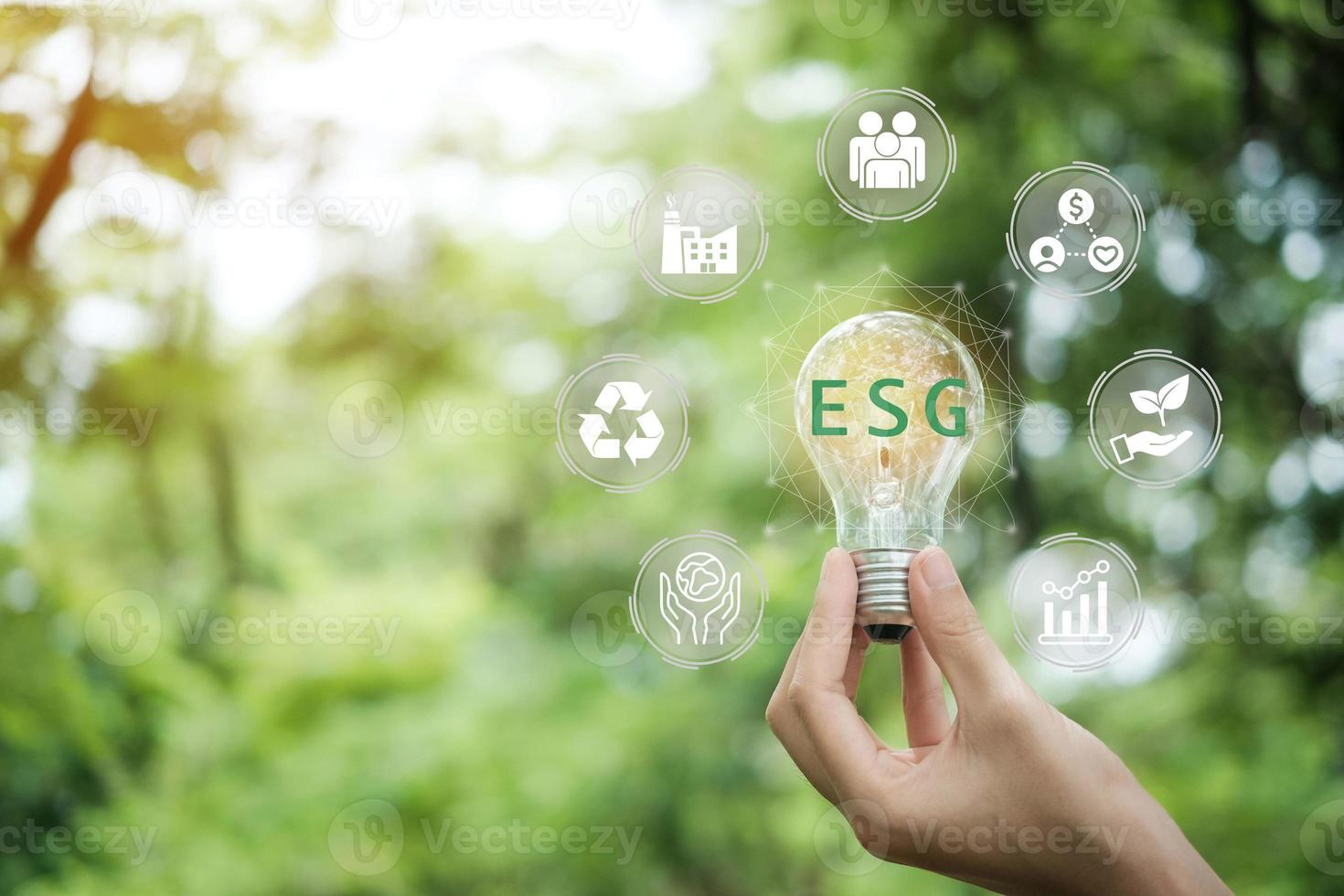 Hand holding light bulb with ESG icon concept for environmental, social, and governance in sustainable and ethical business on the Network connection on a green background. photo