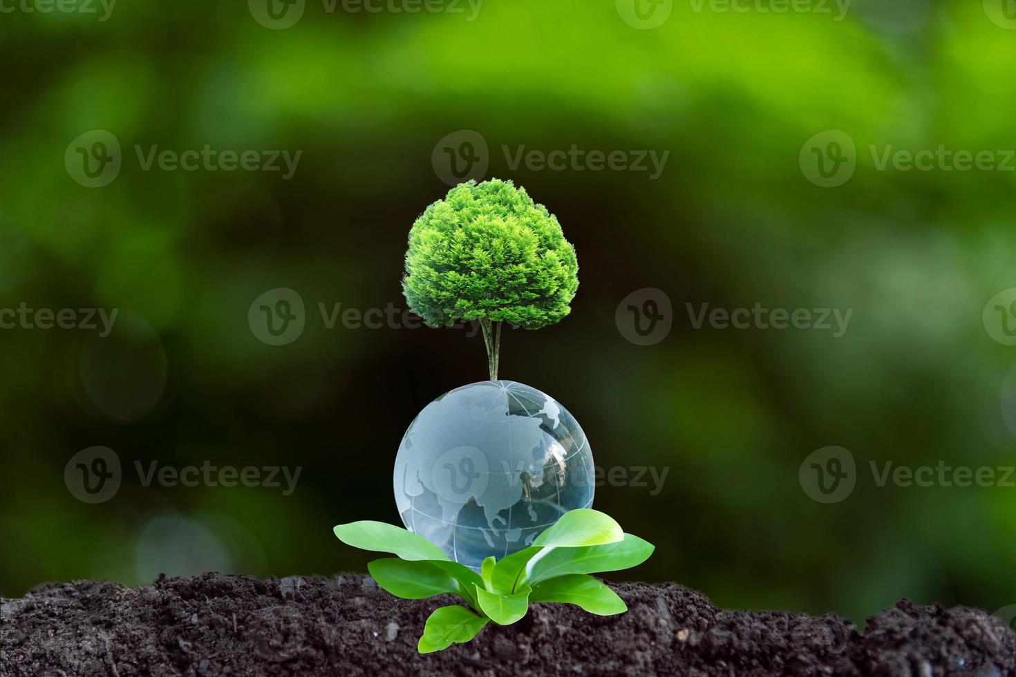 3D illustration Renewable energy concept Earth Day or environmental protection Protect the forests that grow on the ground and help save the planet. photo