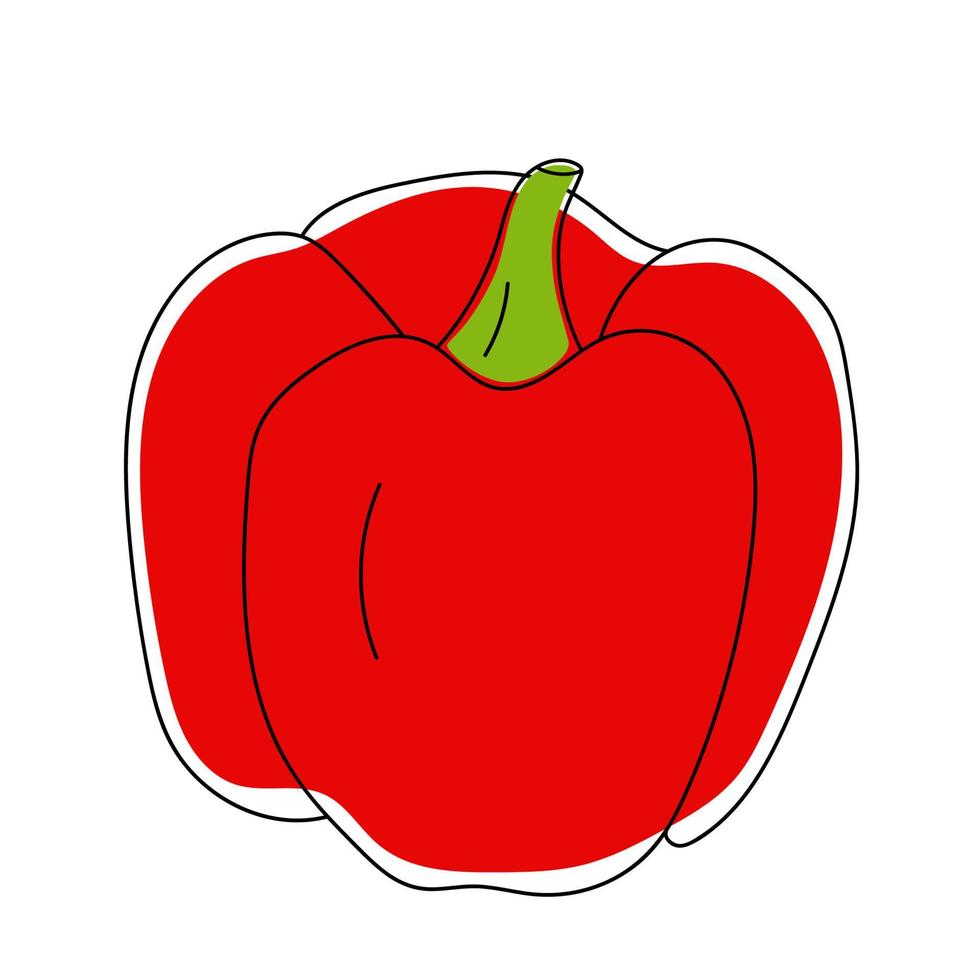 Hand drawn red bell pepper. vector