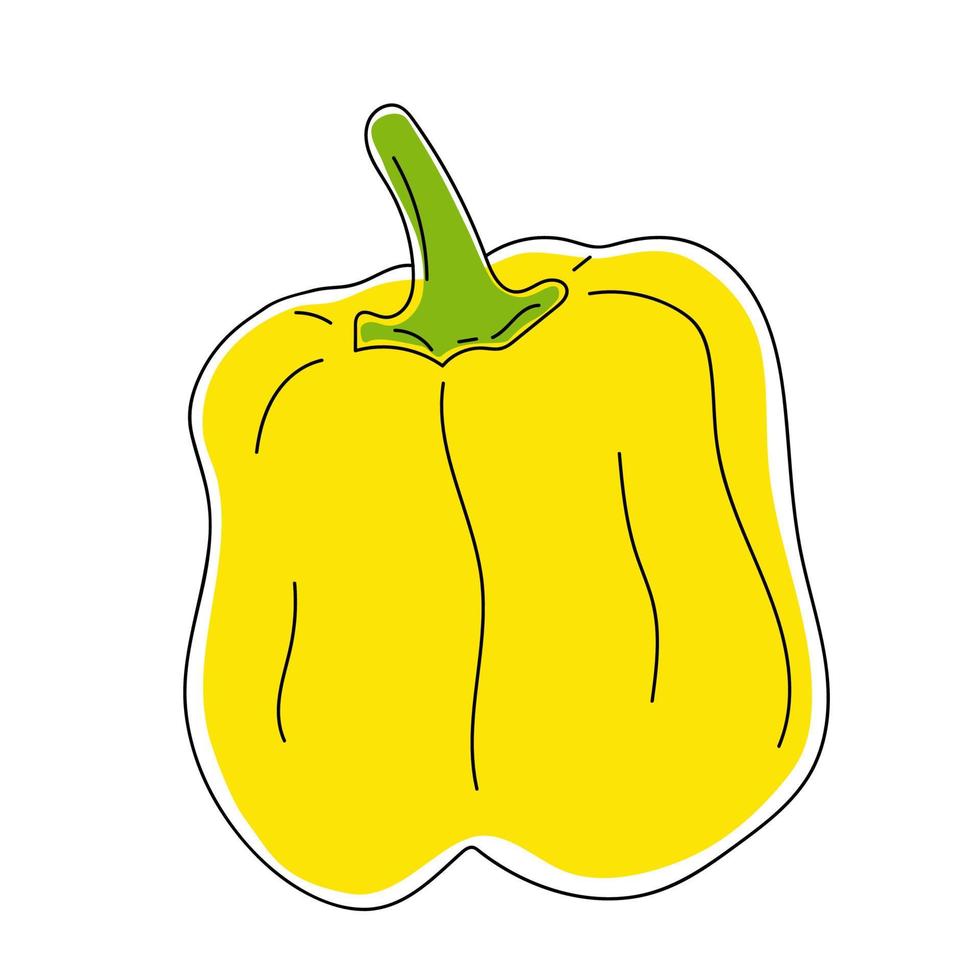 Hand drawn yellow bell pepper. vector