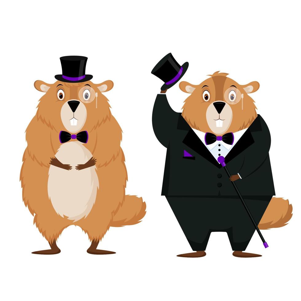 Happy Groundhog Day. Set of two elegant groundhogs isolated on a white background. Vector illustration.