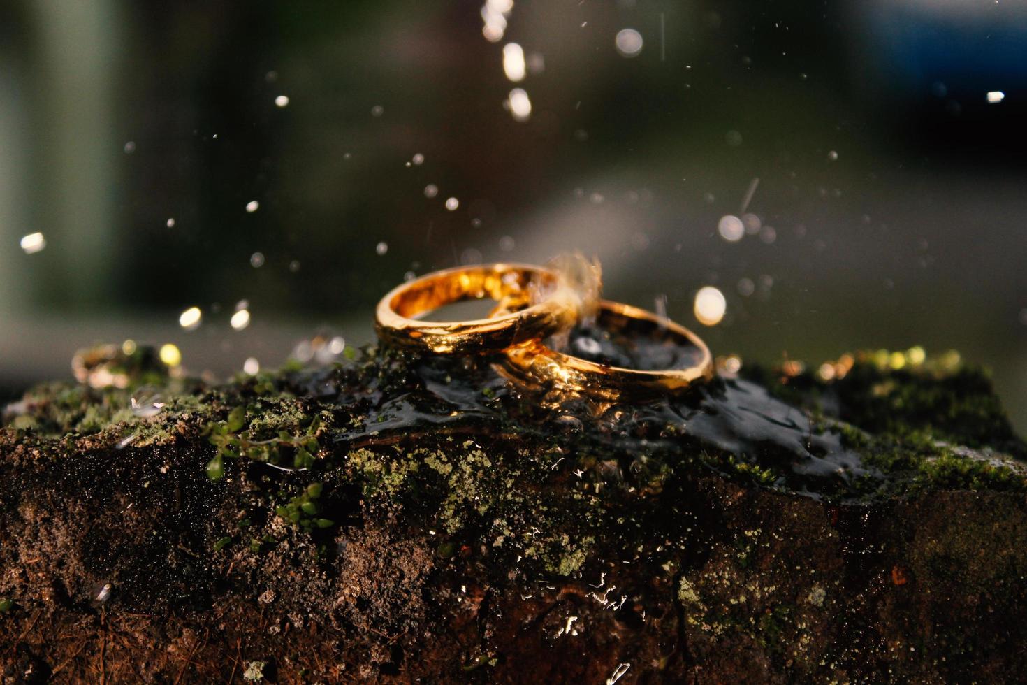 un par de anillos de boda en una roca foto