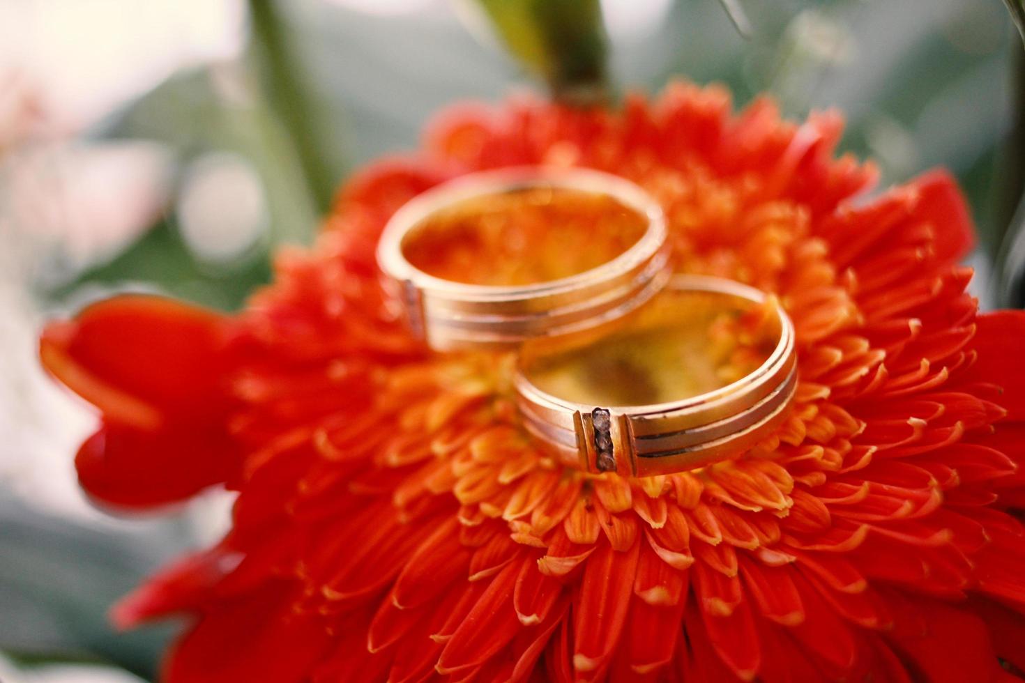 anillos de boda símbolo amor familia. un par de anillos de boda sencillos foto