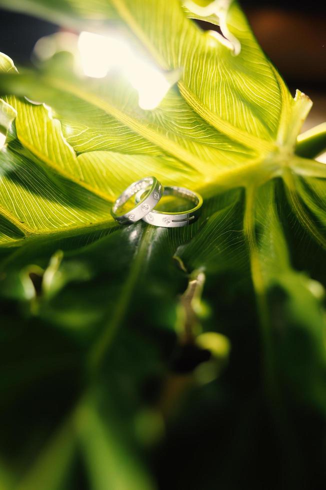 un par de anillos de boda en una hoja verde foto