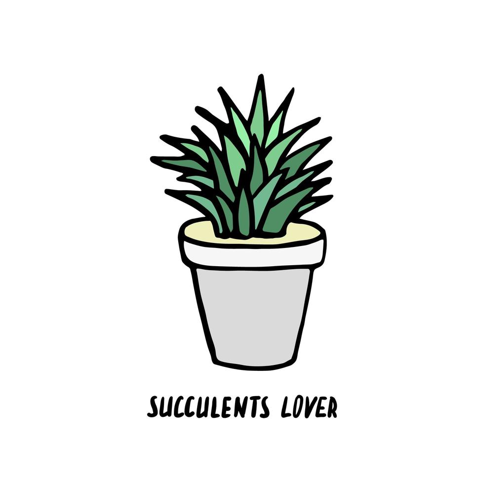 Succulent doodle print. Home plants in modern flowerpot vector