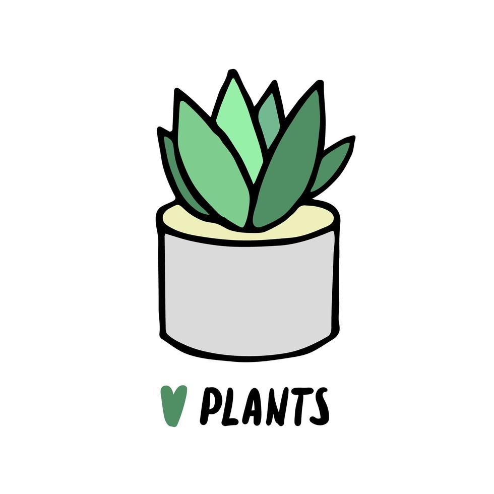 Succulent doodle print. Home plants in modern flowerpot vector