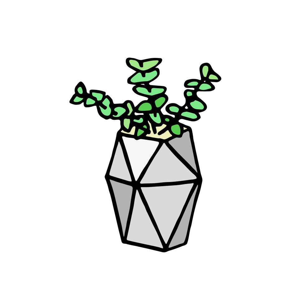 Succulent doodle print. Home plants in modern flowerpot vector