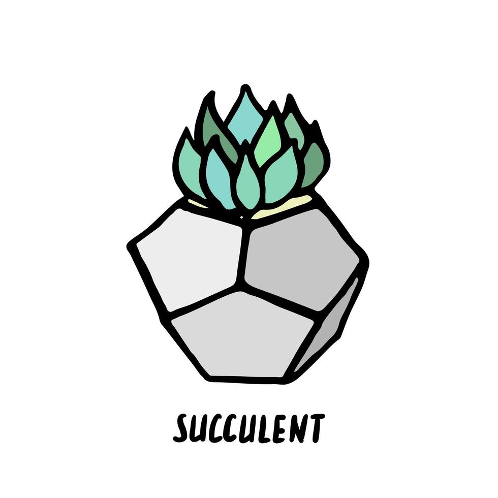 Succulent doodle print. Home plants in modern flowerpot vector