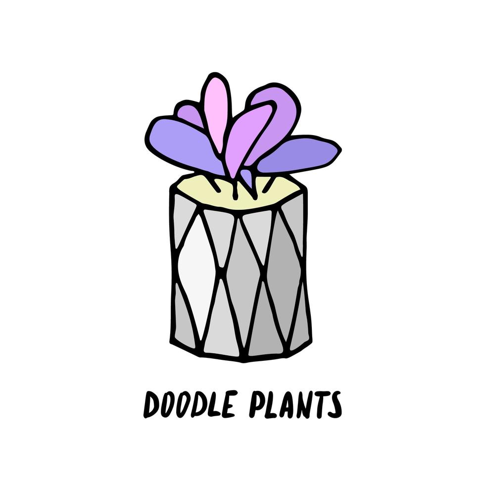 Succulent doodle print. Home plants in modern flowerpot vector