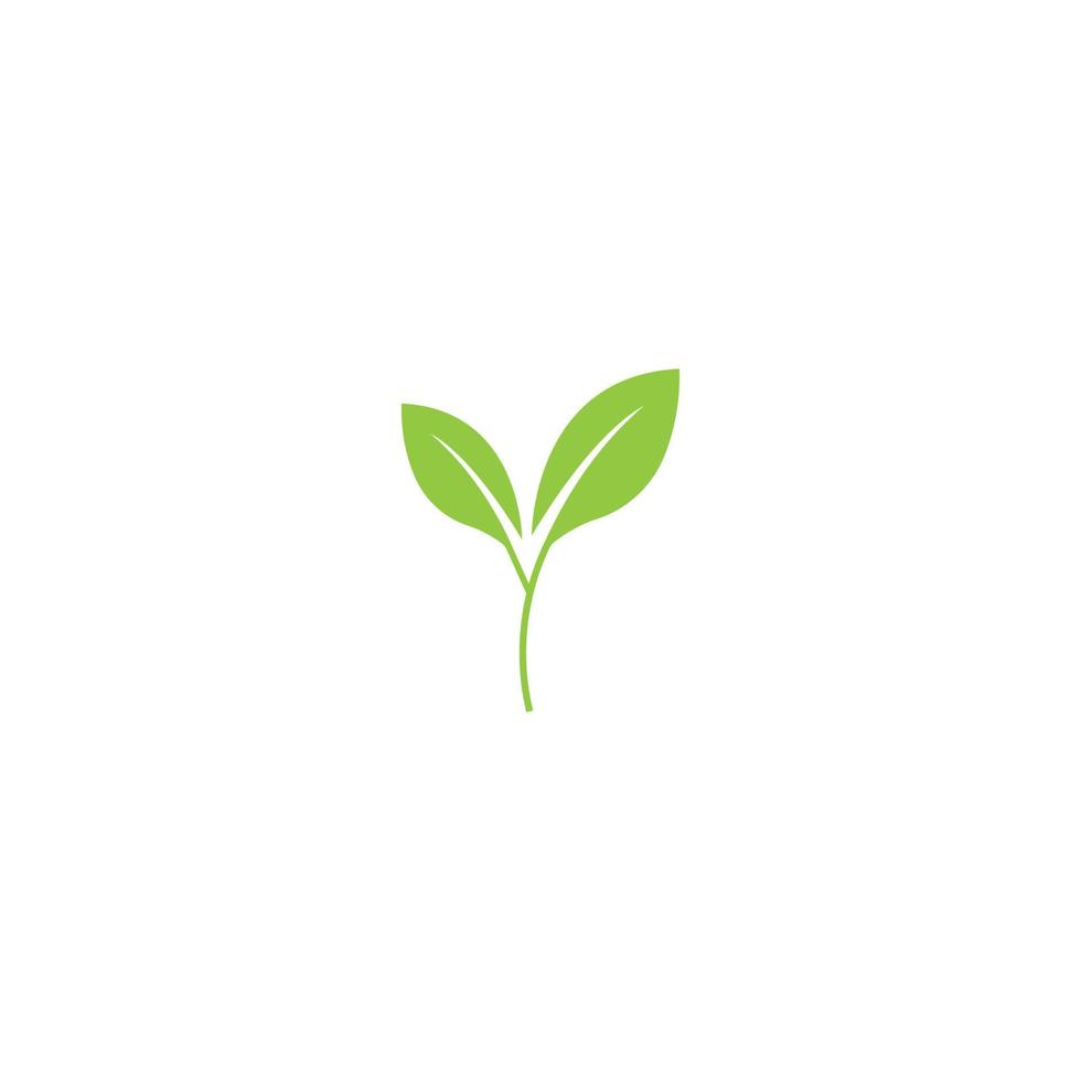 Logos of green Tree leaf ecology nature element vector