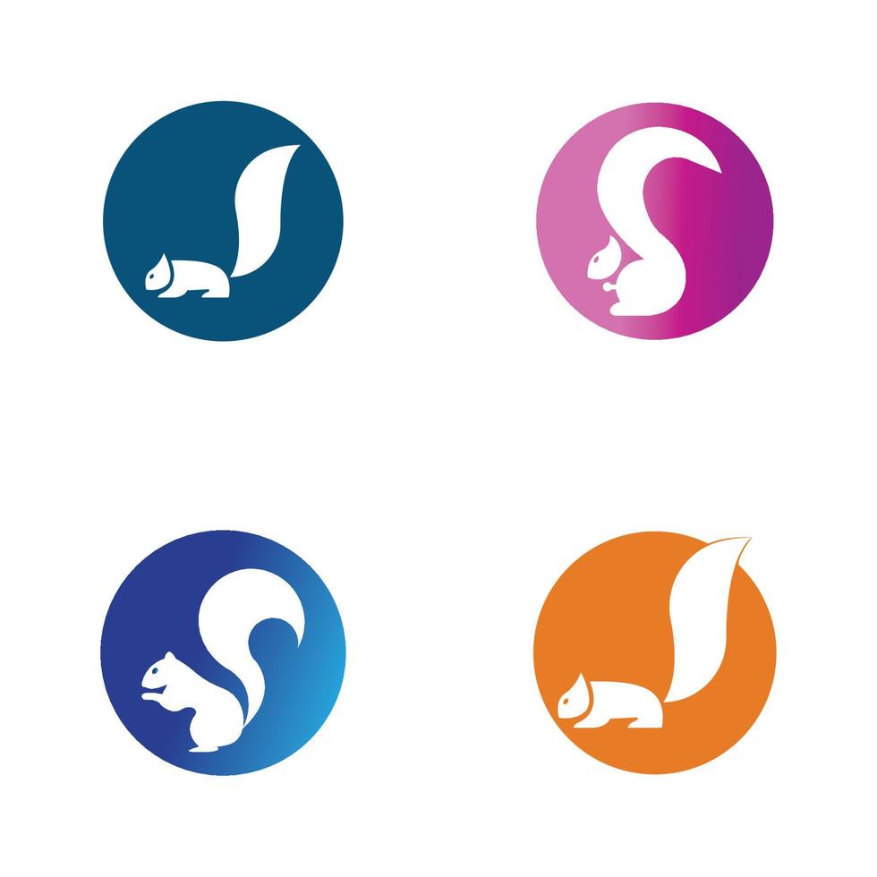 Squirrel symbol illustration vector icon background