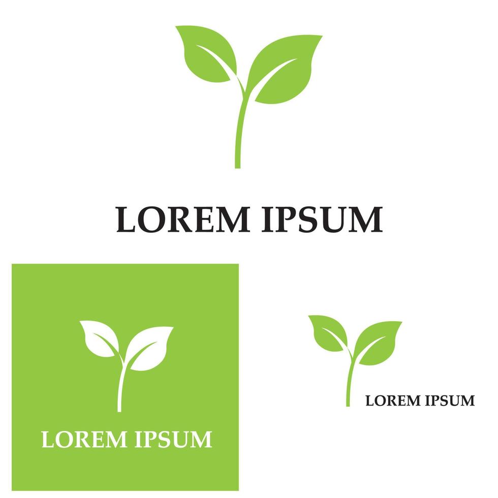 logotipos de vector de elemento de naturaleza de ecología de hoja de árbol verde