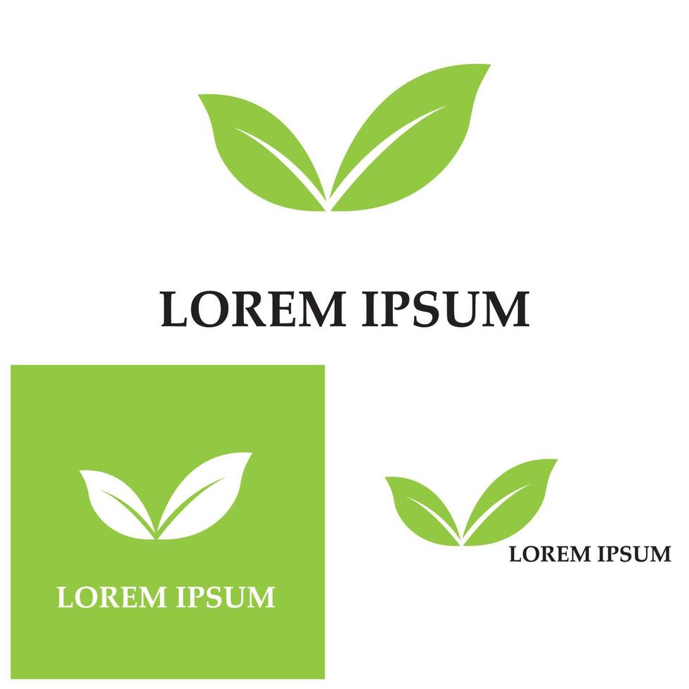 Logos of green Tree leaf ecology nature element vector