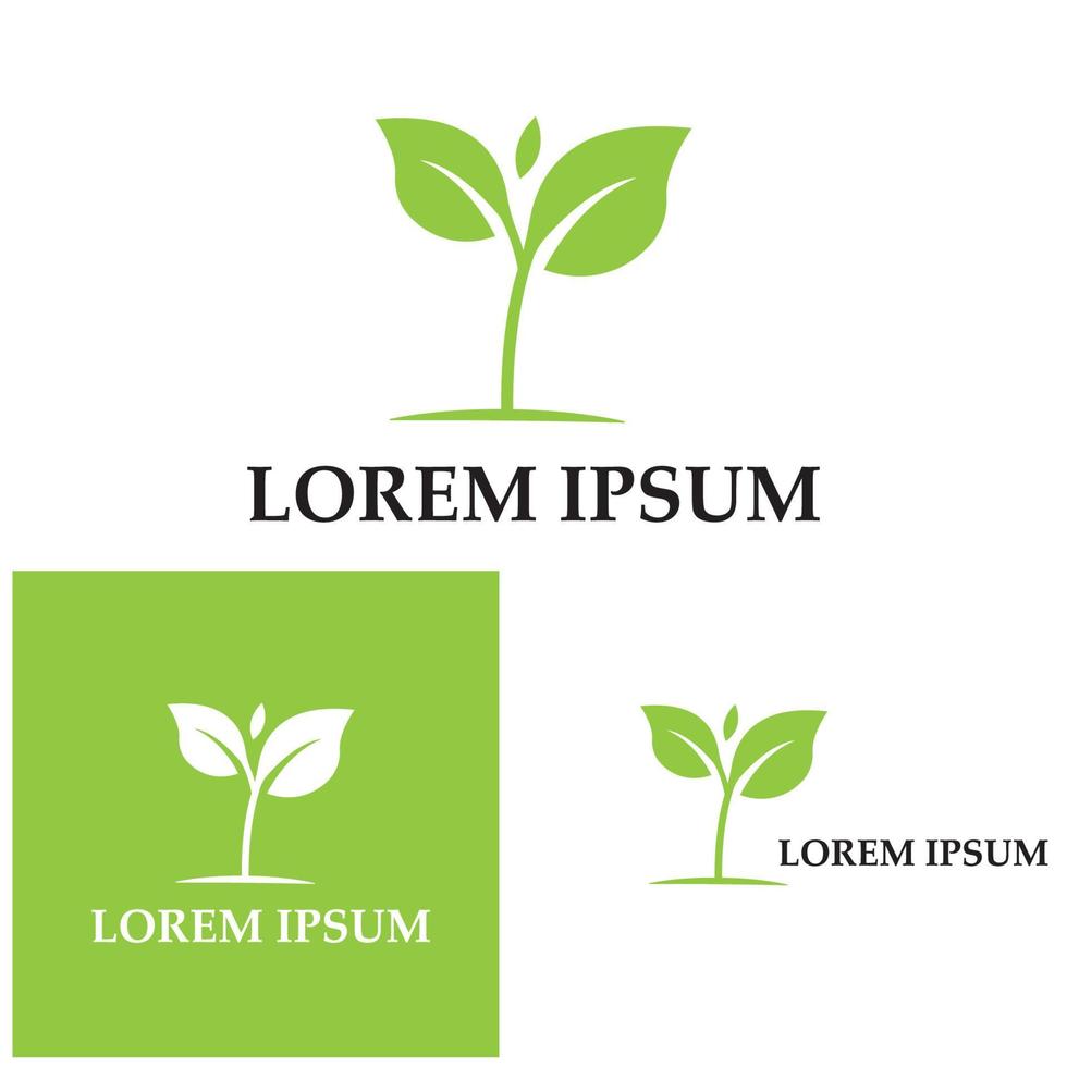 Logos of green Tree leaf ecology nature element vector