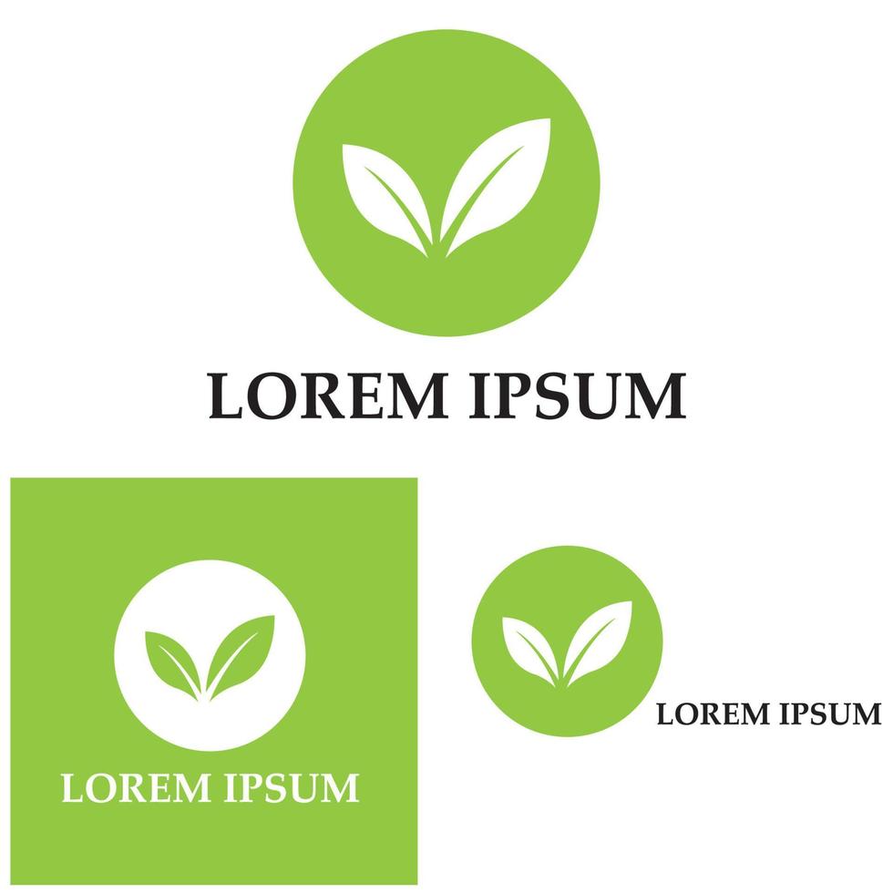 logotipos de vector de elemento de naturaleza de ecología de hoja de árbol verde