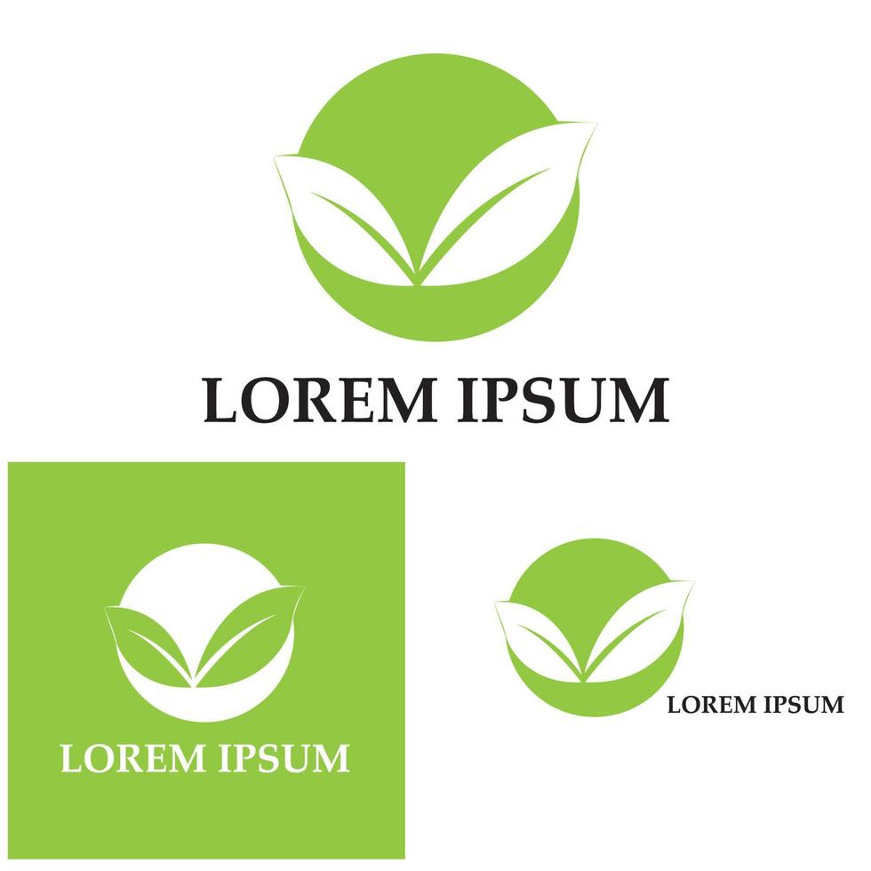 Logos of green Tree leaf ecology nature element vector