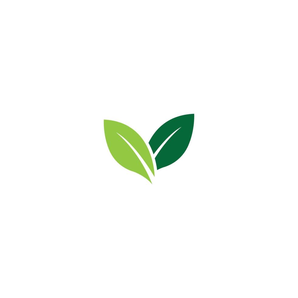 logotipos de vector de elemento de naturaleza de ecología de hoja de árbol verde