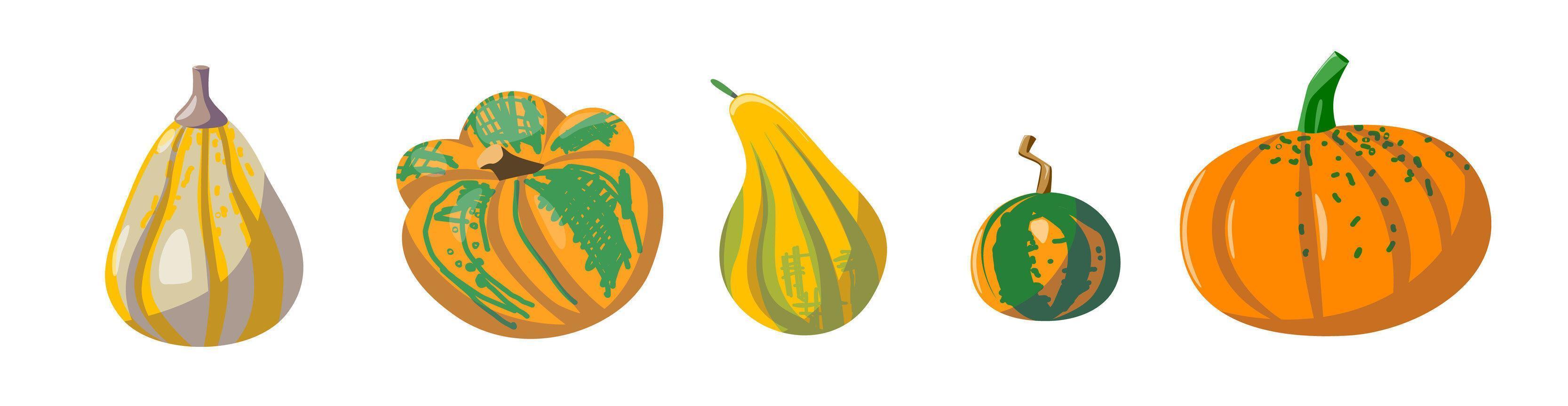 un conjunto de diferentes tipos de calabazas. ilustración vectorial en estilo de dibujos animados vector