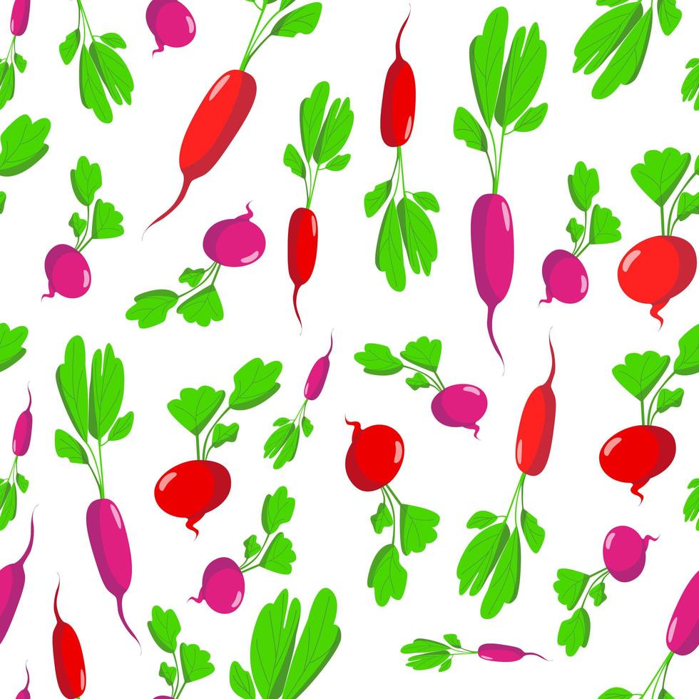 Cartoon vector seamless radish pattern on white background.