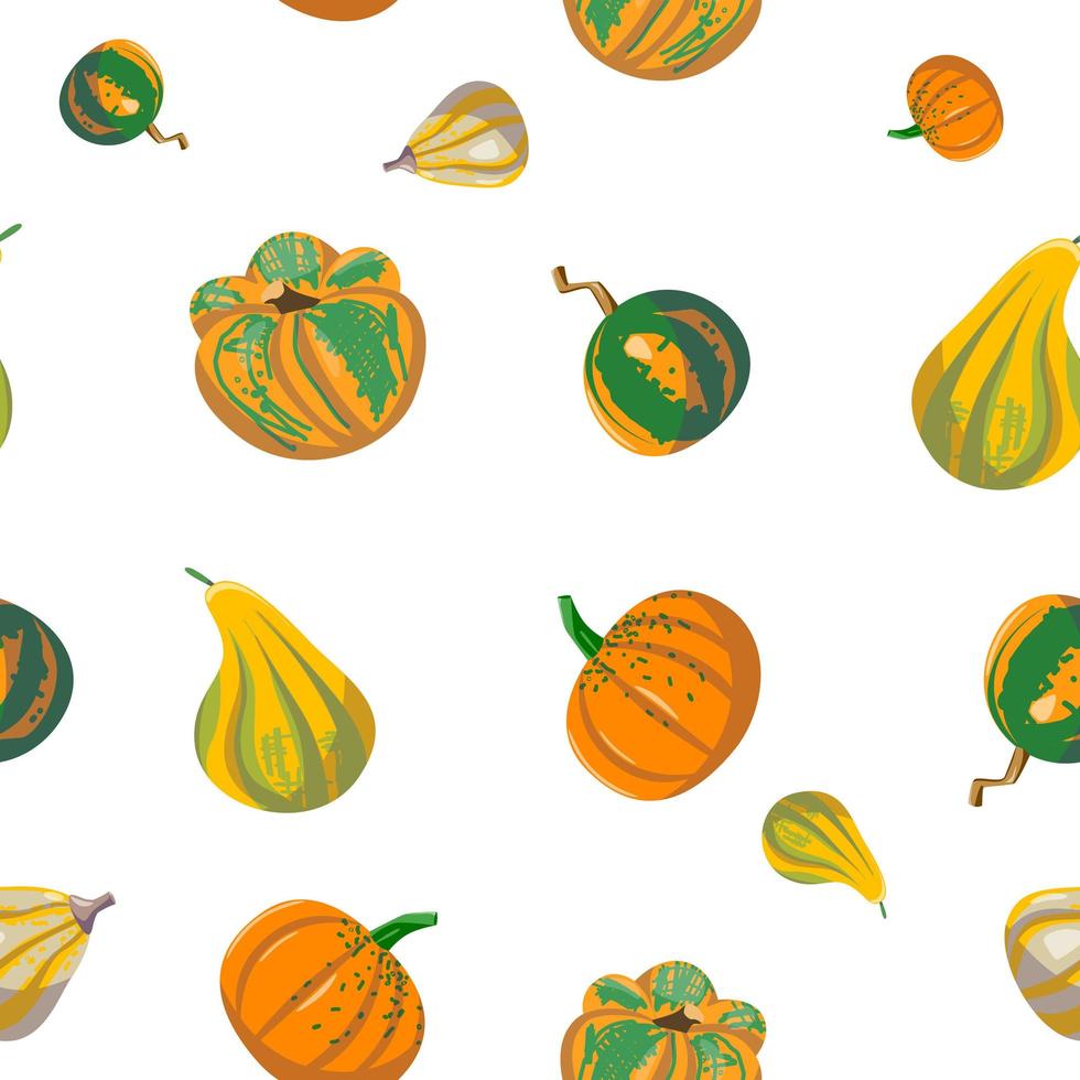 Seamless pattern of different types of pumpkins. vector