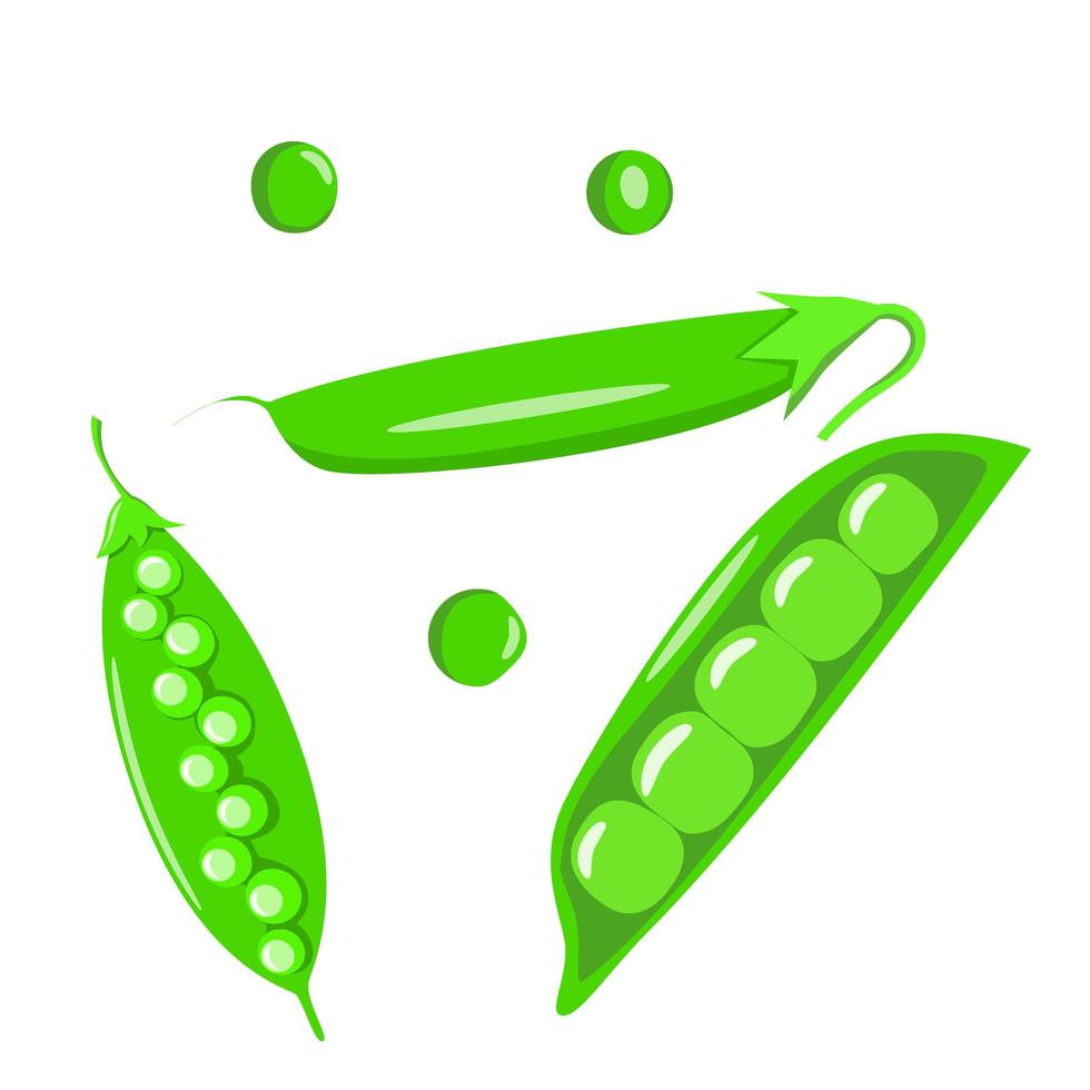 icono aislado de vegetales de guisantes verdes frescos. ilustración vectorial en estilo de dibujos animados vector