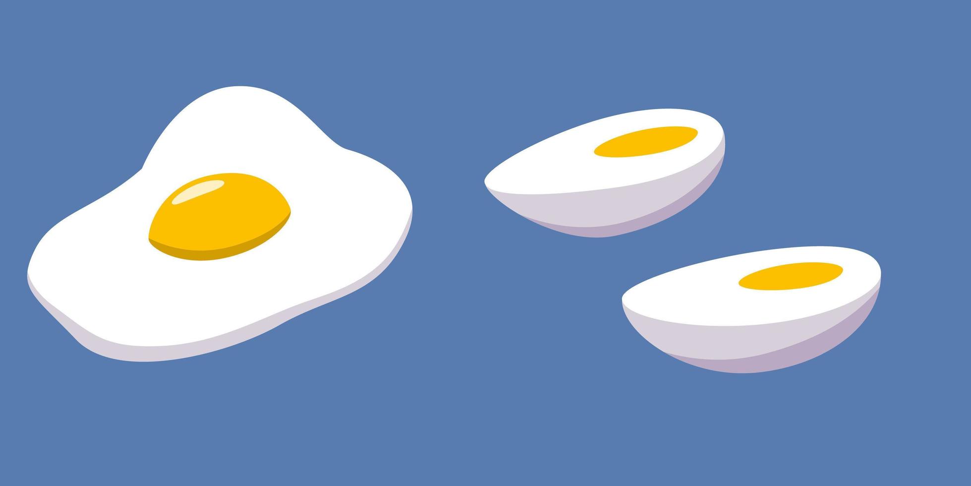 Boiled and broken egg with yolk, half an egg. vector