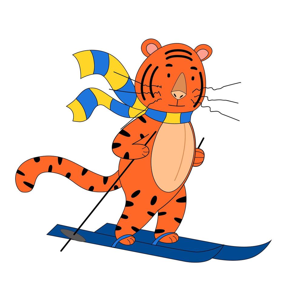flat vector cute tiger skiing, cute animal. symbol of 2022 on an isolated white background.