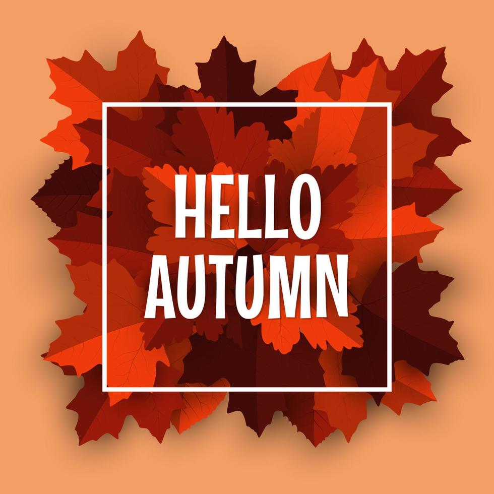 Autumn background with autumn leaves vector