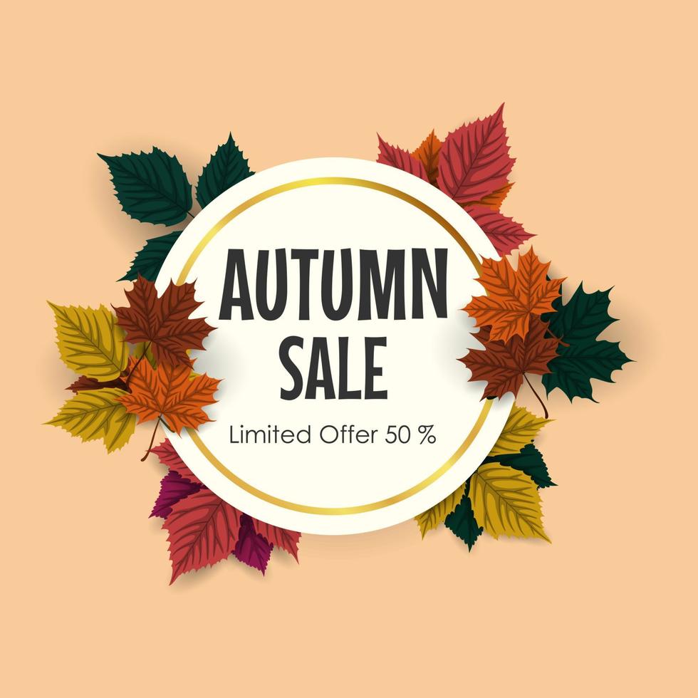 Autumn sale background with colorful leaves vector