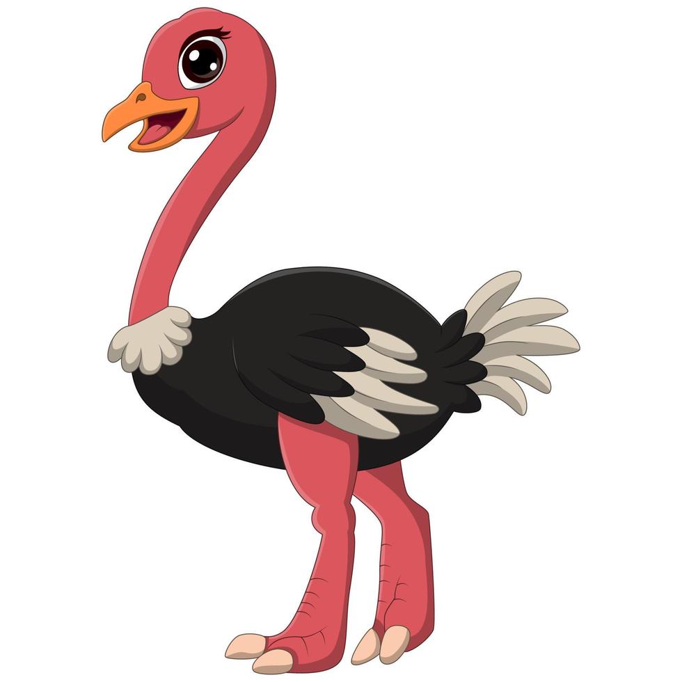 Cartoon cute little ostrich standing vector