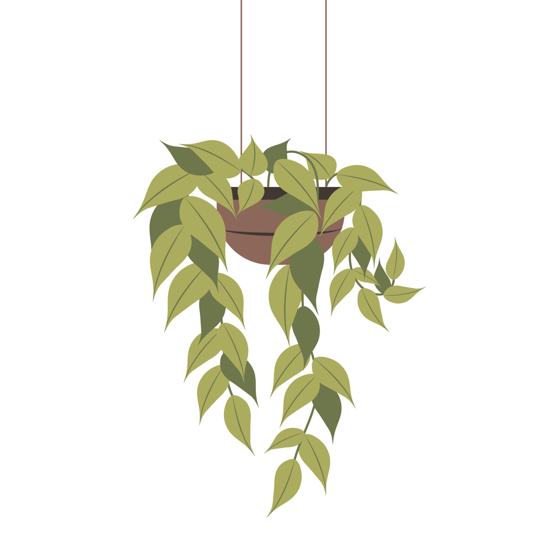 Houseplant isolated flat vector illustration. Hanging plant 5532887