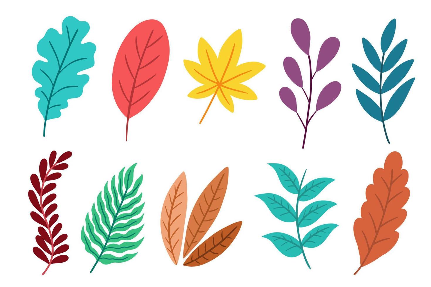 Set Pack of Flat Leaf Leaves element Plant Tropical Botanical illustration vector