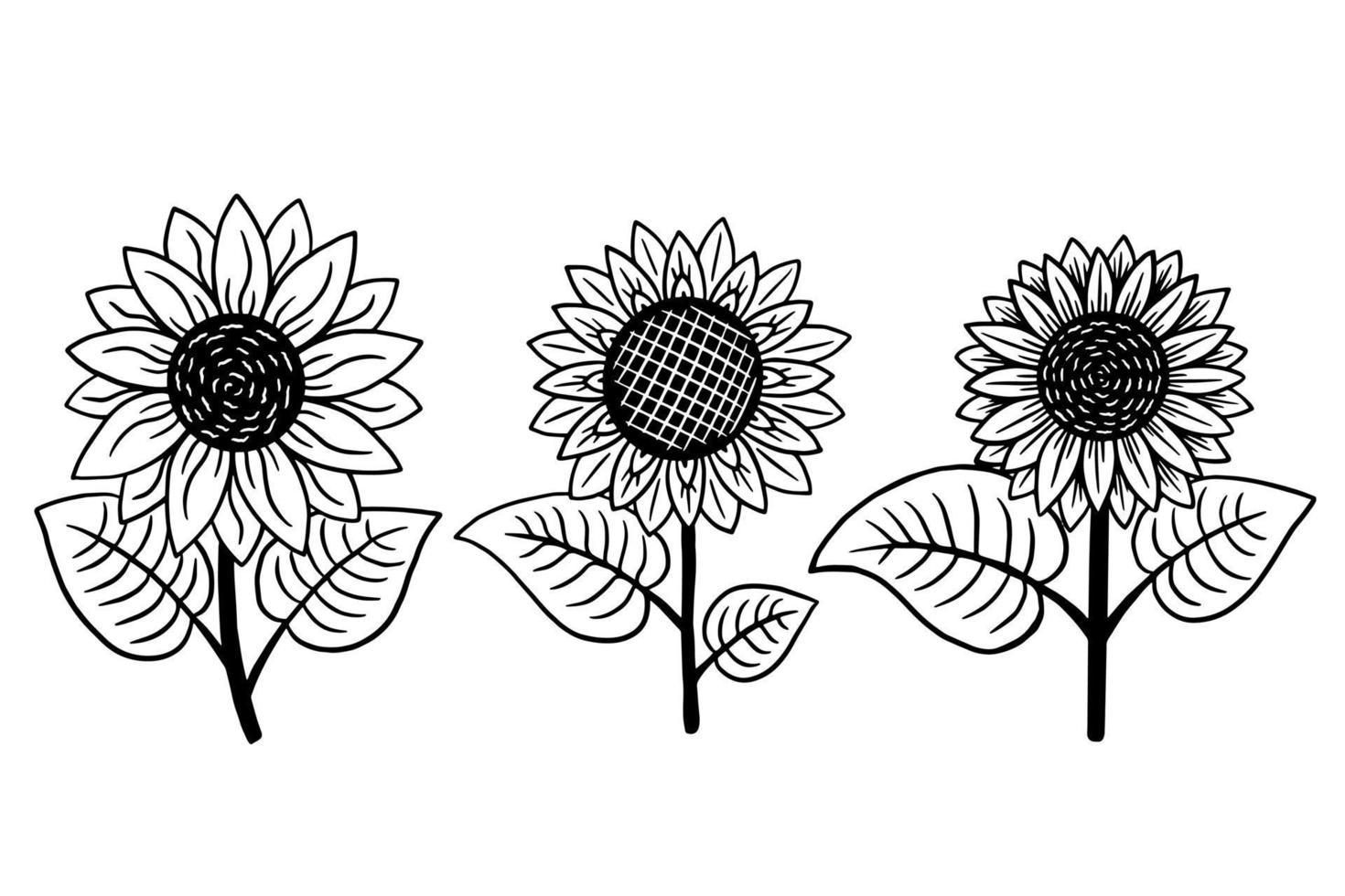 Set of Sun Flower isolated Decorative Beautiful Hand Drawn illustration vector