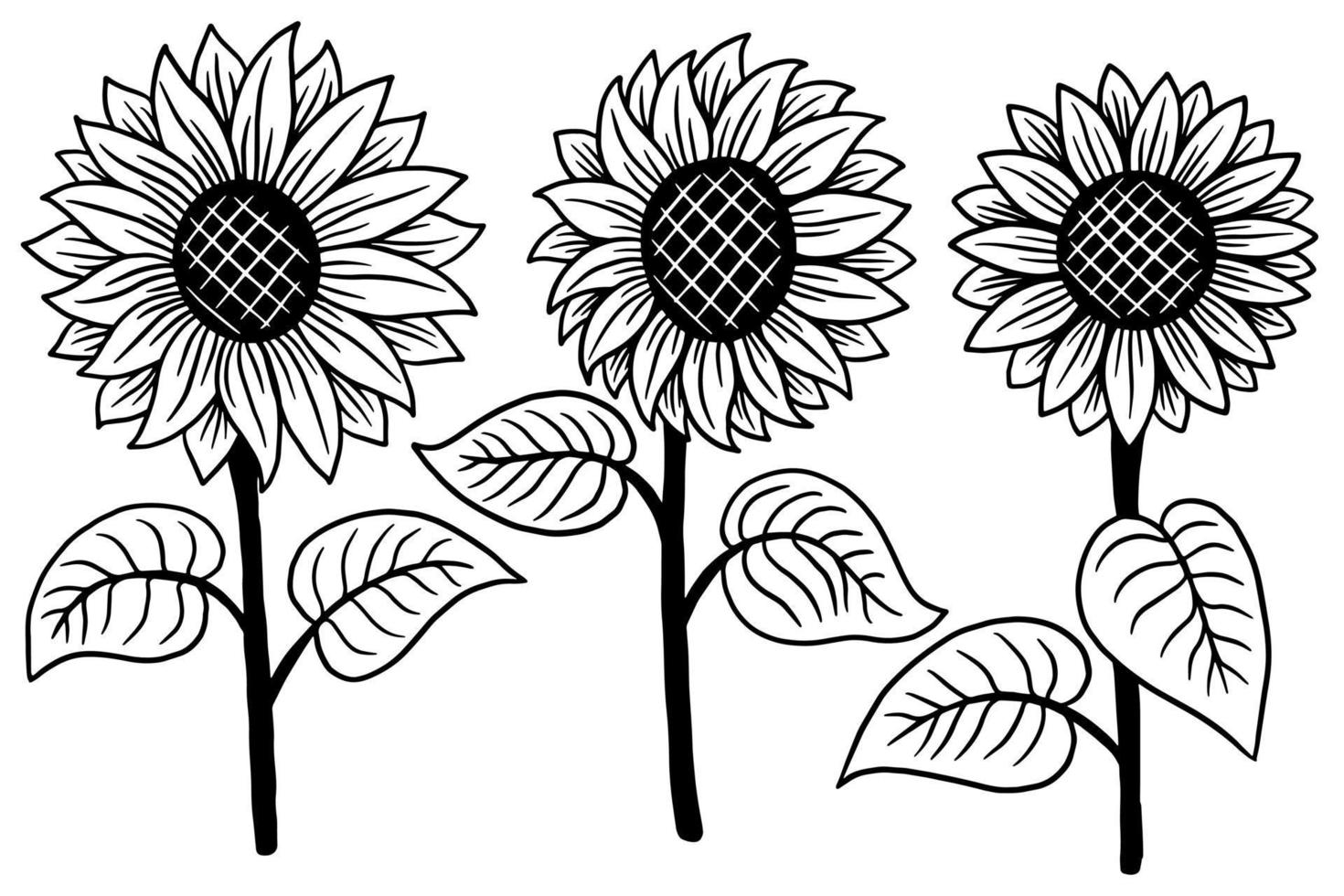 conjunto de sol flor aislado decorativo hermoso dibujado a mano ilustración vector