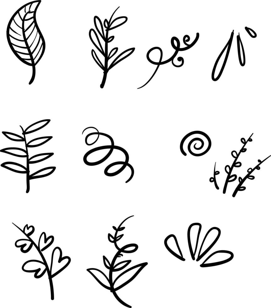 hand drawn branch and leaves illustration set with doodle style vector isolated