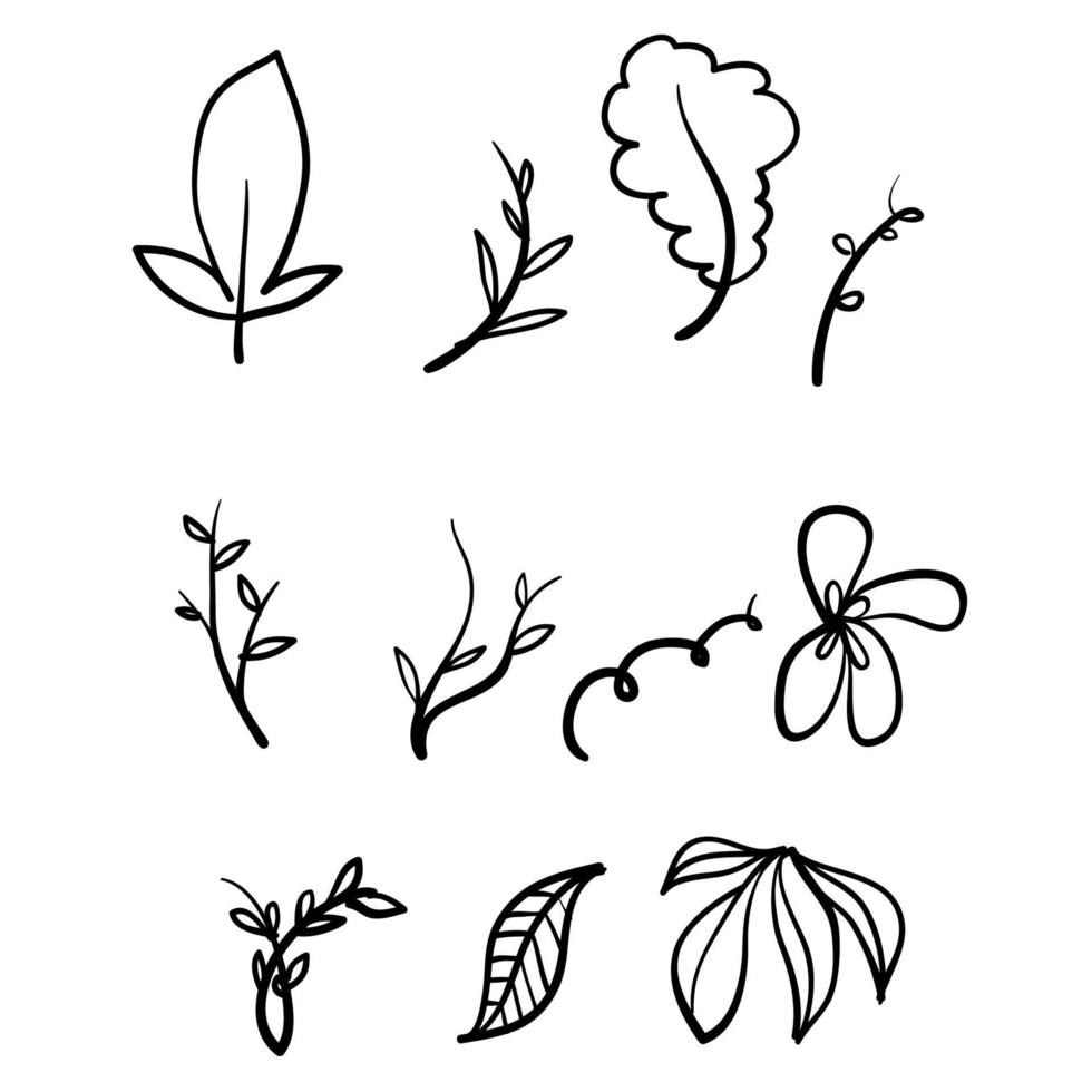 hand drawn branch and leaves illustration set with doodle style vector isolated