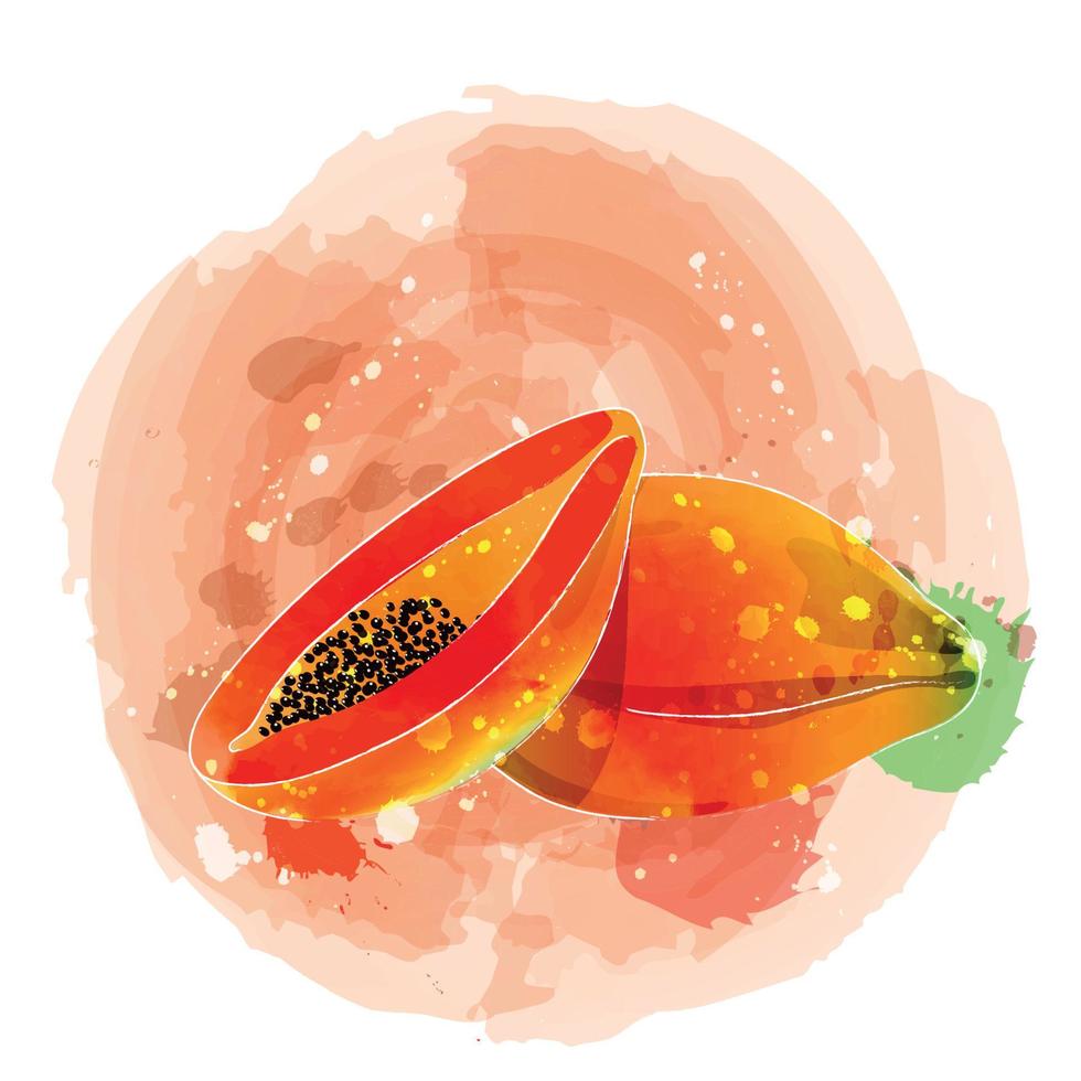 papaya acuarela clipart ilustración con fondo naranja. vector