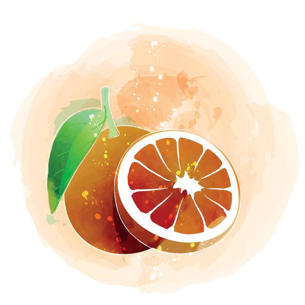 Orange watercolor clipart illustration with orange background. vector