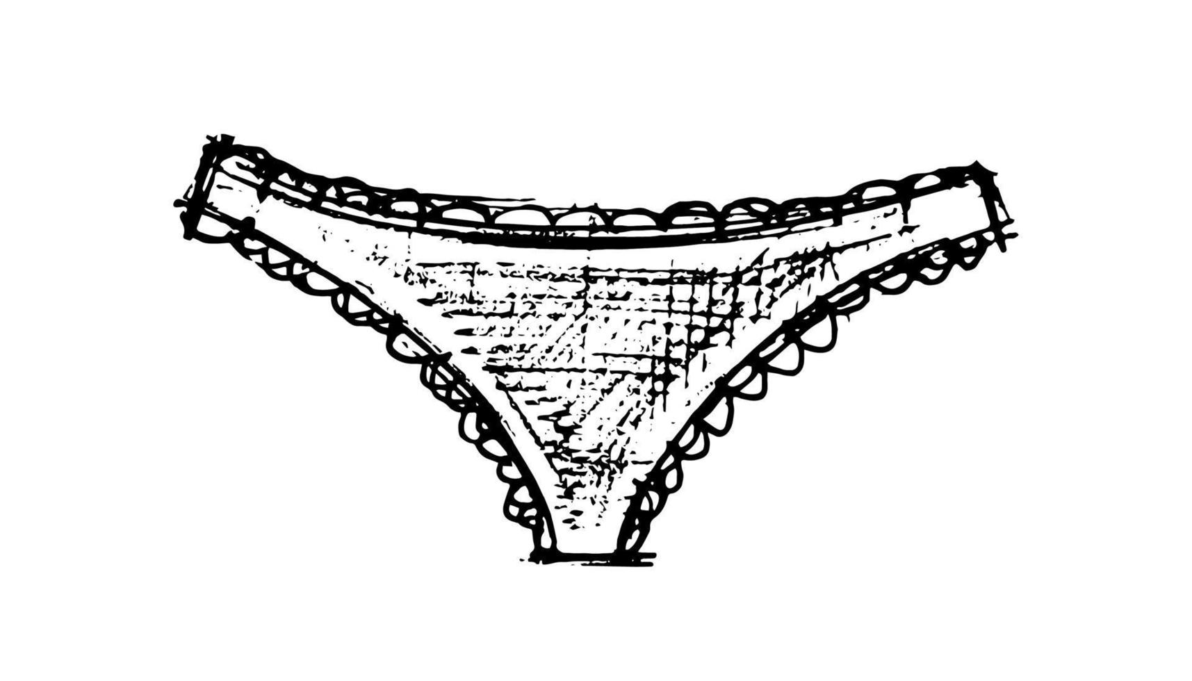 panties sketch. panties underwear women. wardrobe lace underwear. shorts vector