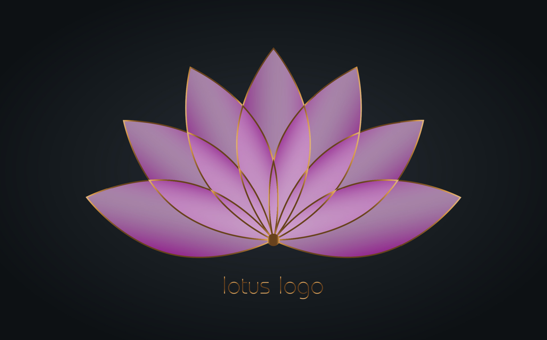 Gold Lotus Photo & Design