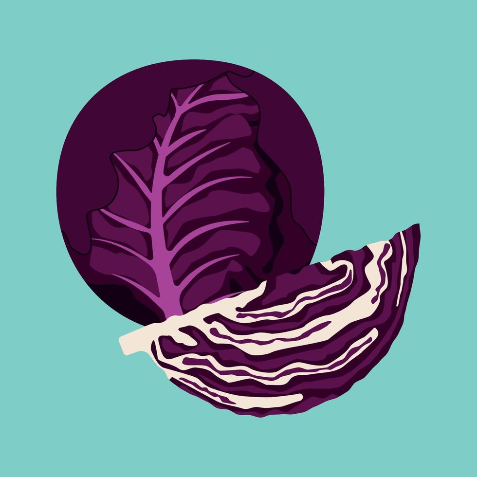 Purple Cabbage Vector Art, Icons, and Graphics for Free Download