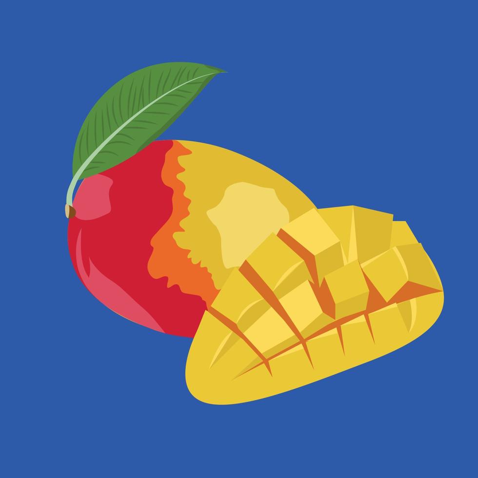 Juicy Mango and cut mango half. Isolated vector Illustration.