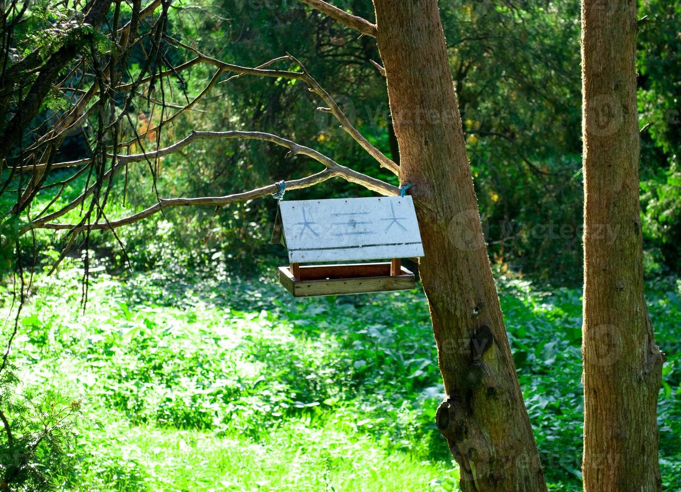 Birdhouse in the woods on a tree on a sunny day photo