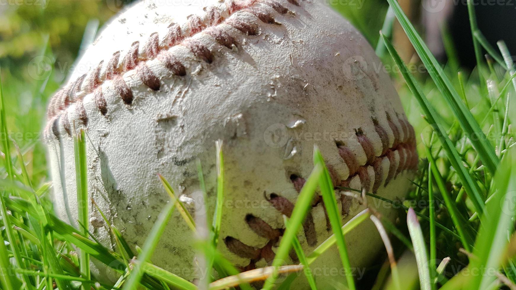 White old baseball ball on fresh green grass with copy space closeup. American sports baseball game. photo