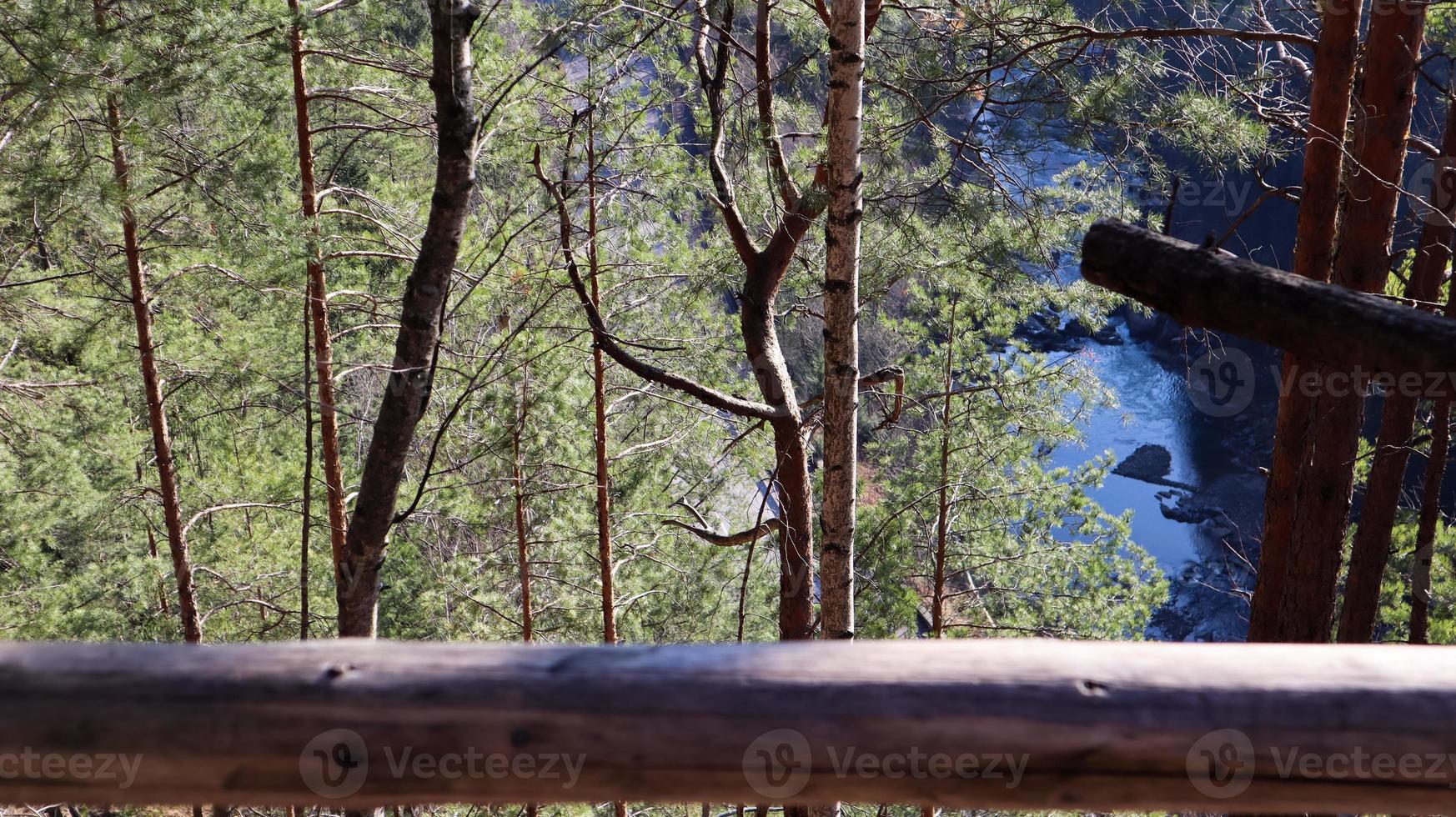 ruta turística dovbush trail. pintorescas rocas en una ruta de senderismo en una montaña forestal cerca del pueblo de yaremche en otoño. hermoso bosque de pinos en un día soleado. Ucrania, Cárpatos foto