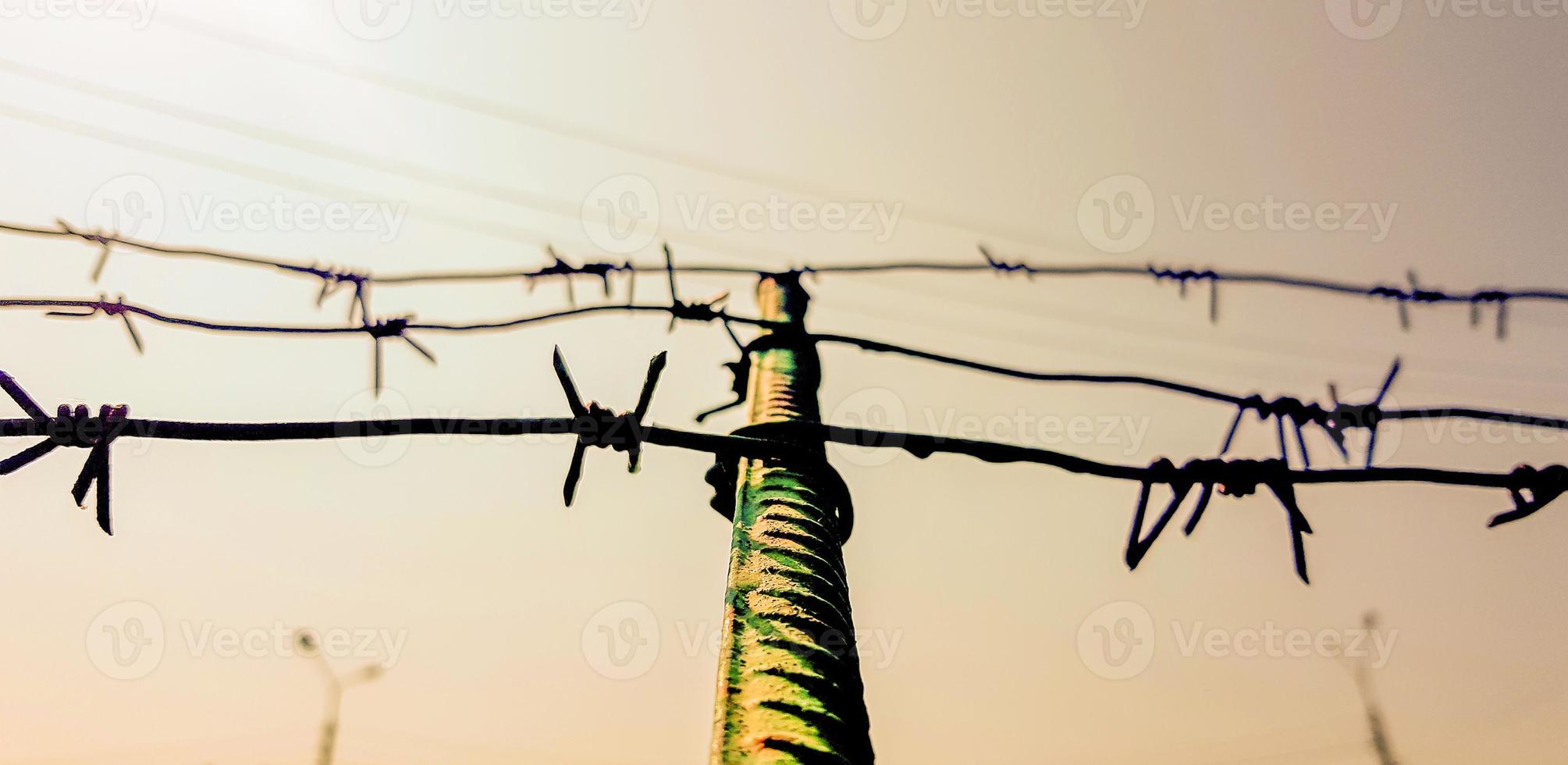 Barbed wire. Barbed wire on fence with blue sky to feel worrying. The silhouette of the old barbed wire fence and the sky at twilight. photo