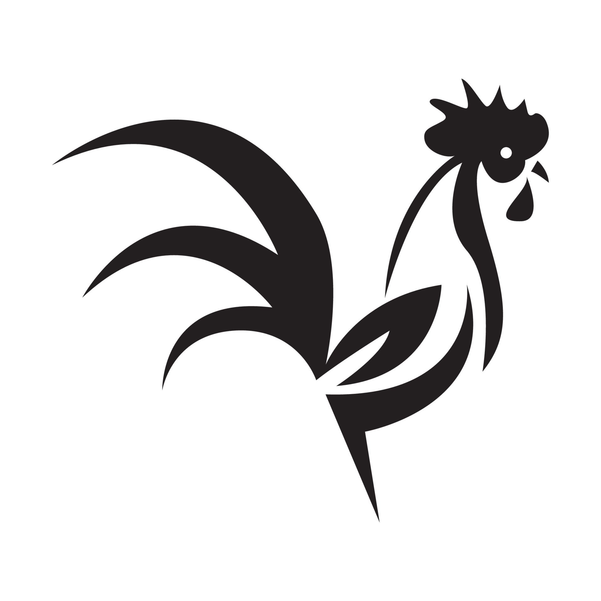 modern shape black rooster logo vector icon illustration design 5538042