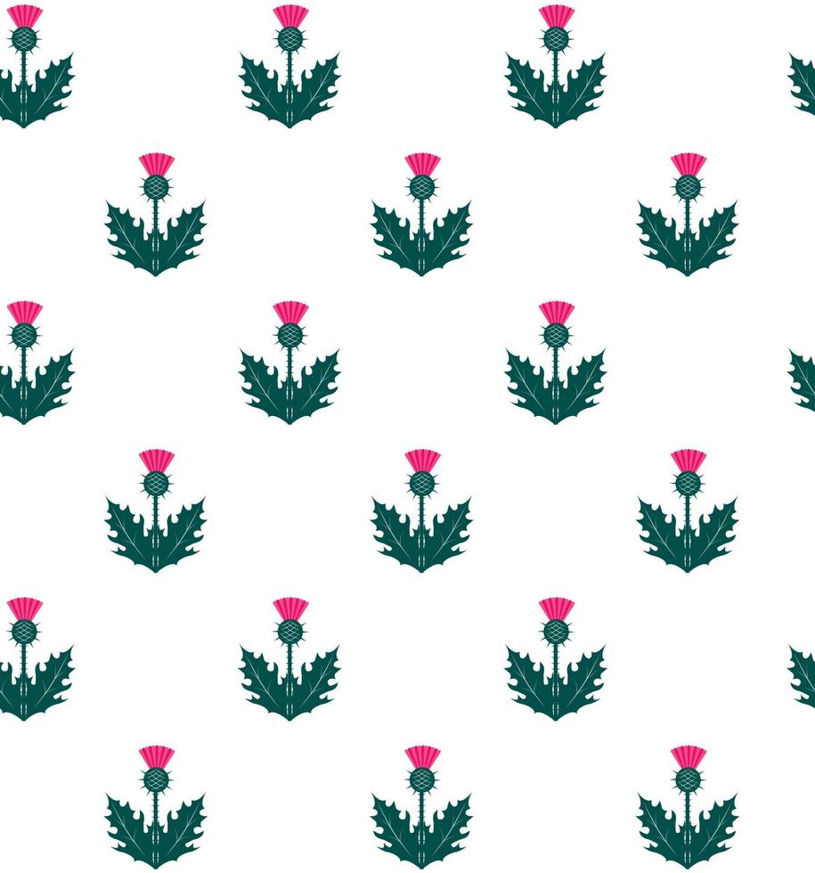Thistle seamless pattern on white background Scottish symbol vector