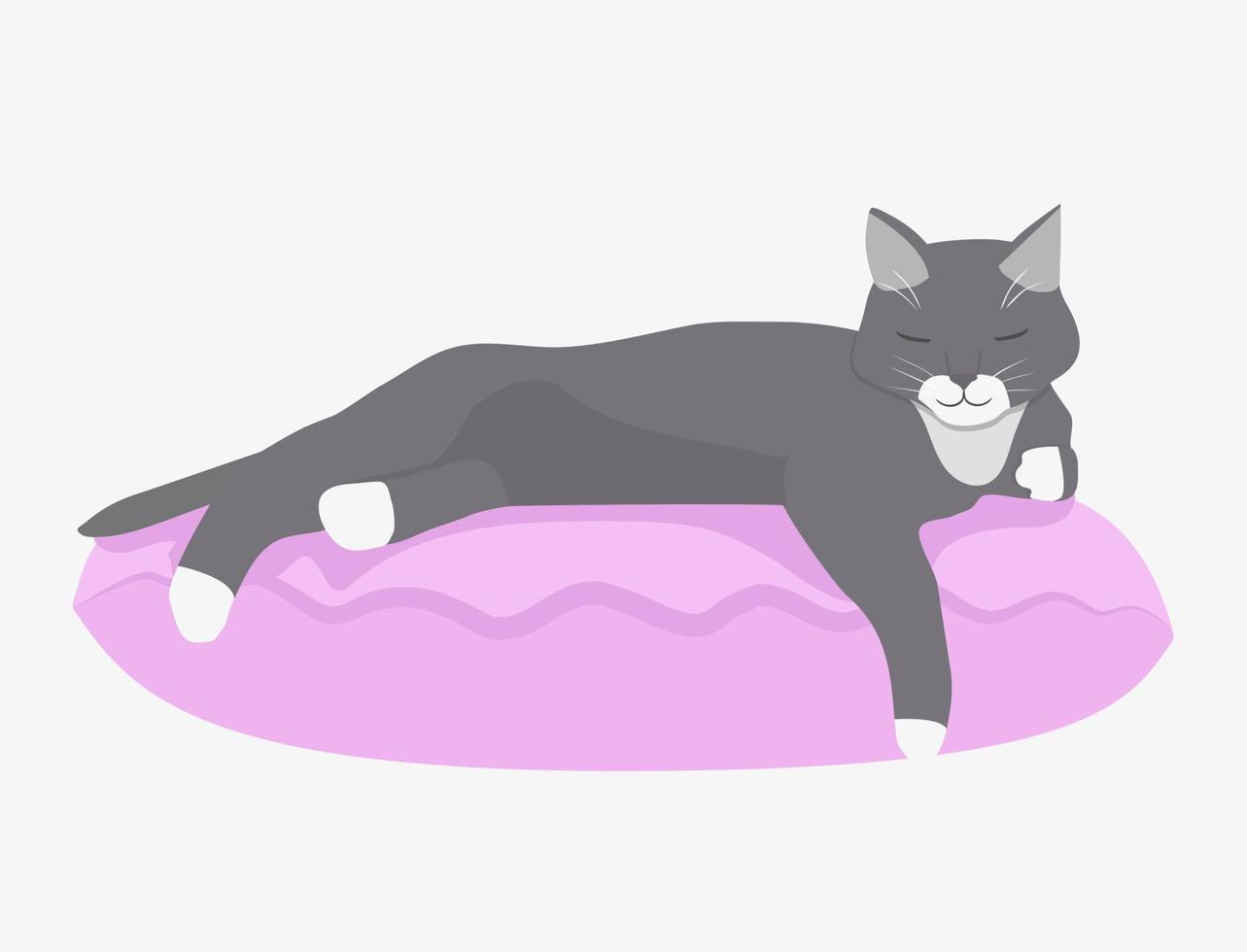 A sleeping cat on a pillow. Vector illustration in cartoon style.